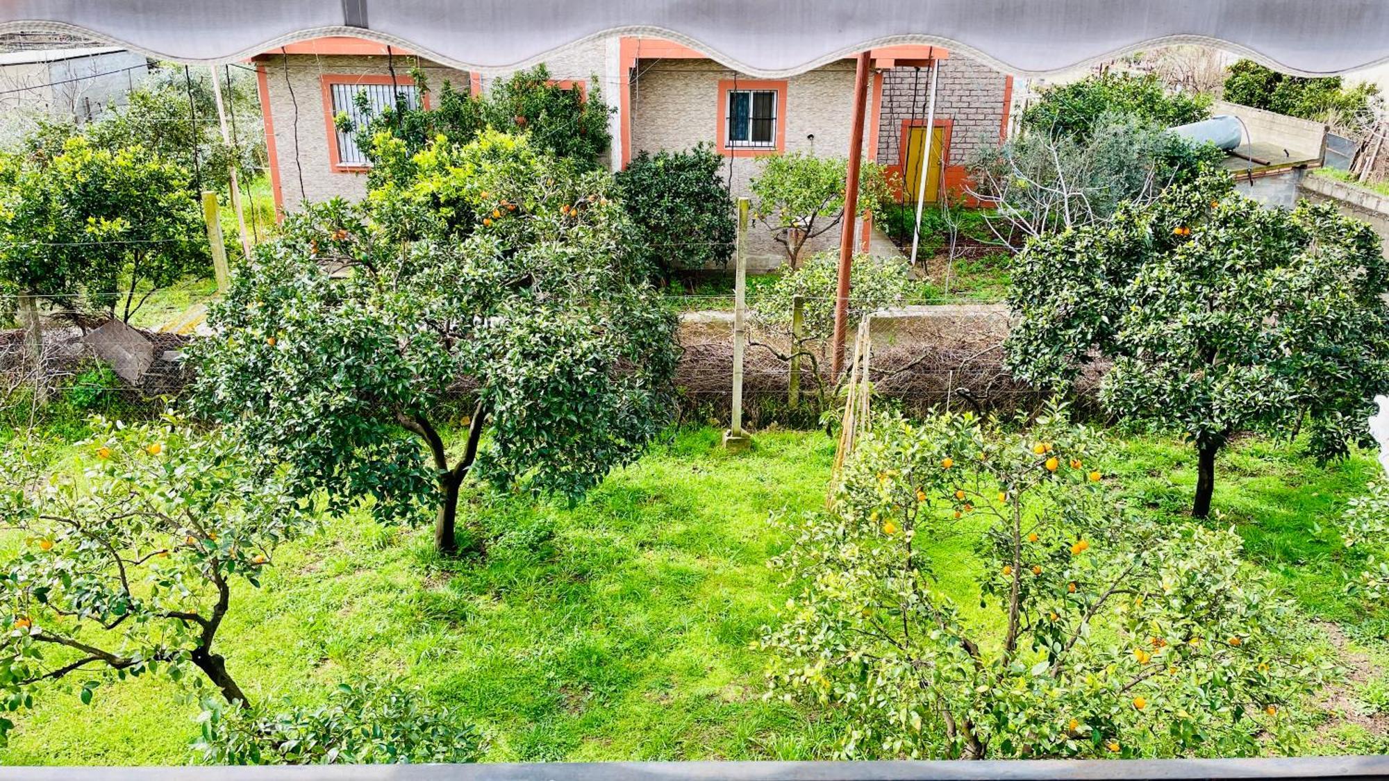 Mia Guest House - Entire Home With Balcony & Garden Divjake Extérieur photo